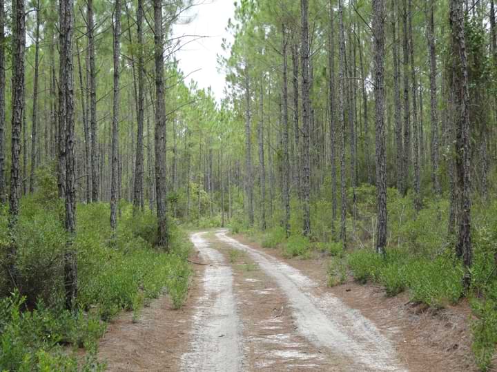 Things To Do Conservation Park
